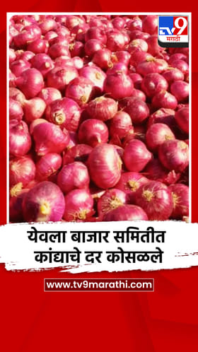 येवला बाजार समितीत कांद्याचे दर कोसळले