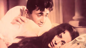 इंग्रजी फ्लॉप पण हिंदी सुपरहिट, 60 लाख बजेट अन् कमाई 5 कोटी, गाणी....