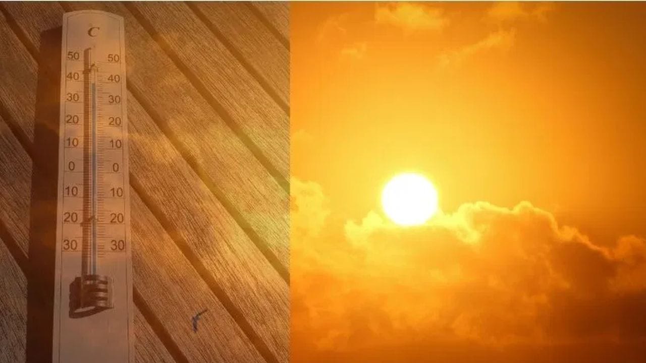 पाचव्या नंबरवर हरियाणा राज्यातील रोहतक शहर असून, या शहरात उन्हाचा पारा 44.6 अंश सेल्सिअसवर पोहोचला आहे.  सहाव्या क्रमाकांवर ओडिशा राज्यातील  झारसुगुडा शहर असून येथे 44.6 अंश सेल्सिअस एवढ्या तापमानाची नोदं झाली आहे. 