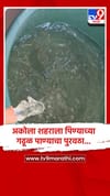 अकोला शहराला पिण्याच्या गढूळ पाण्याचा पुरवठा... महानगरपालिकेचे दुर्लक्ष....!.