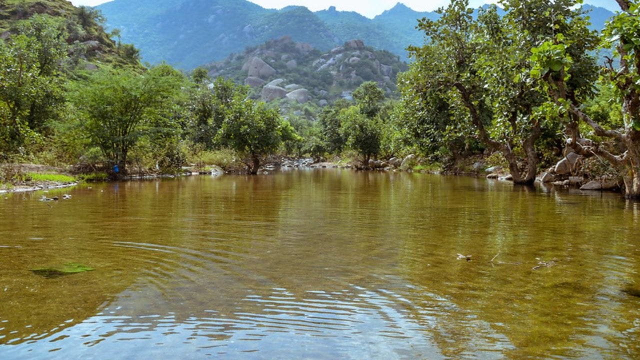 या मातीच्या छोट्या बंधाऱ्यांचा उद्देश पावसाचे पाणी अडवणे होता, जेणेकरून ते वाहून जाऊन वाया न जाता जमिनीत मुरेल. हळूहळू या प्रयत्नांचा परिणाम दिसू लागला. भूजल पातळी वाढली आणि दशकांच्या शांततेनंतर अरवरी नदी पुन्हा वाहू लागली. आज ही नदी राजस्थानच्या कोरड्या भागातही वर्षभर वाहते. 