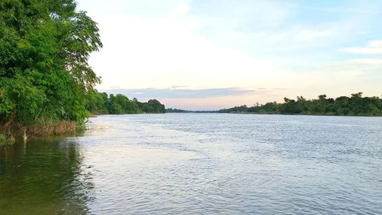 राजस्थानमधील अलवर जिल्ह्यात एक अशी नदी वाहते, जिची लांबी फक्त 45 किलोमीटर आहे. मात्र तिची कहाणी मोठ्या नद्यांपेक्षाही अधिक प्रेरणादायी आहे. या नदीचे नाव अरवरी नदी आहे, जिला भारतातील सर्वात छोटी नदी म्हटले जाते.