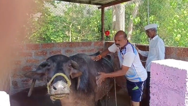 गावातील पाळीव जनावरांसाठी या ग्रामपंचायतीने अत्याधुनिक स्नानगृह उभारले आहे. या स्नानगृहात जनावरांसाठी शॉवर स्वच्छ पाण्याची सोय गीत संगिताच्या तालावर जनावरांना आंघोळ घातली जाते. जनावरांच्या अंगावरील अनावश्यक केस या ठिकाणी काढले जातात. त्याच बरोबर घनकचरा व्यवस्थापन आणि सांडपाण्यावर प्रक्रिया अशी सर्व सुविधा उपलब्ध करून देण्यात आली आहे.