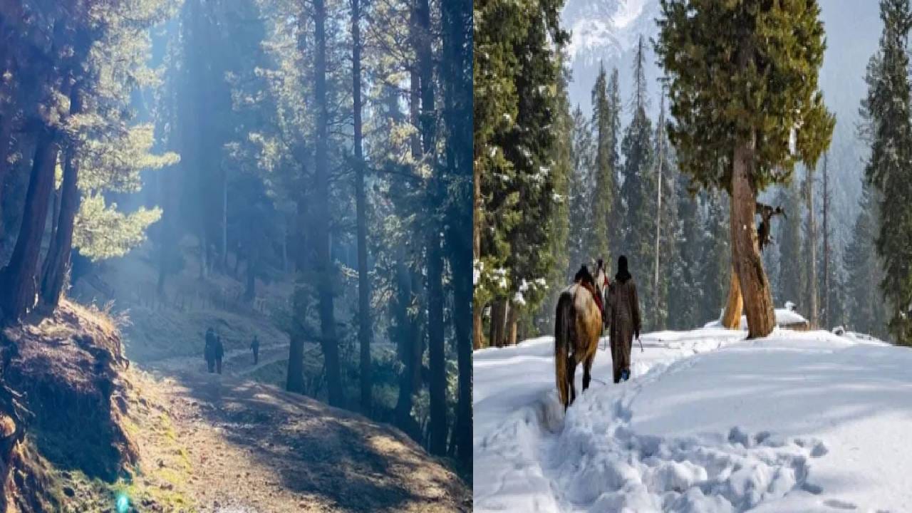 Baisaran Ghati : एकदा हे फोटो बघा मग समजेल पहलगामच्या बैसरन घाटीला मिनी स्वित्झर्लंड का म्हणतात? जागेच्या प्रेमात पडालं