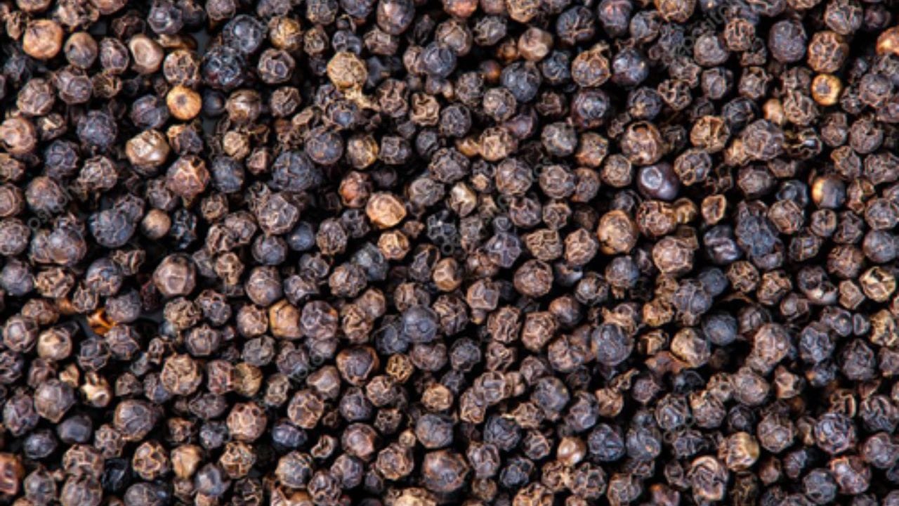 काळी मिरीला हिंदी भाषिक काळी मिरची म्हणतात. मिरची नसेल तर काळी मिरी जेवणात त्या ऐवजी वापरतात. आपल्या भारतातही काळी मिरीचे मोठे उत्पन्न होते. भारतात पुरातन काळापासून युरोपात काळी मिरीचा व्यापार केला जात आहे. 