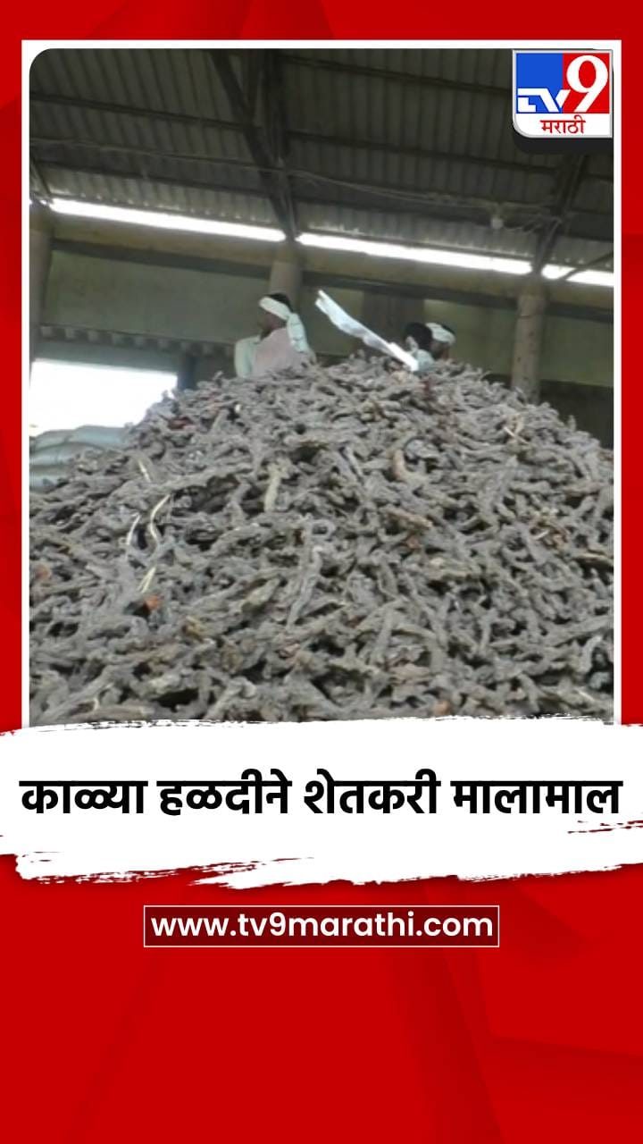 काळ्या हळदीने शेतकरी मालामाल