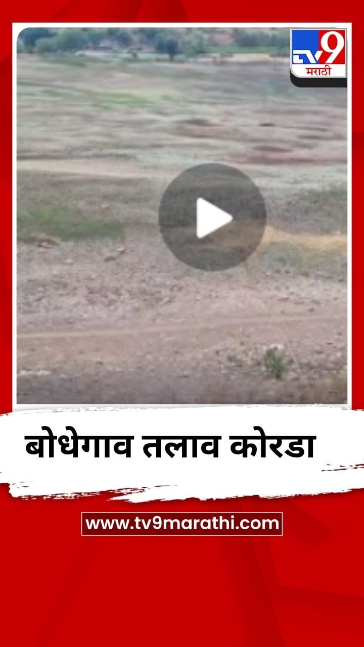 बोधेगाव तलाव कोरडा, पाणीसाठा आटला