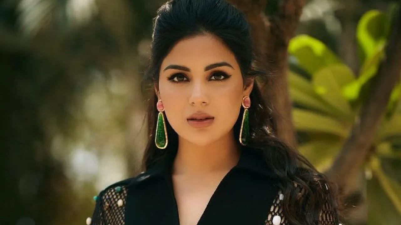 संयुक्ता म्हणाली, संधी मिळणं सोपं होतं, पण त्या संधीचं सोनं करणं आणि इंडस्ट्रीत टिकून राहणं तितकंच कठीण आहे. अभिनय कौशल्य विकसित करण्यासाठी आणि स्वतःला सिद्ध करण्यासाठी तिने खूप मेहनत घेतली.