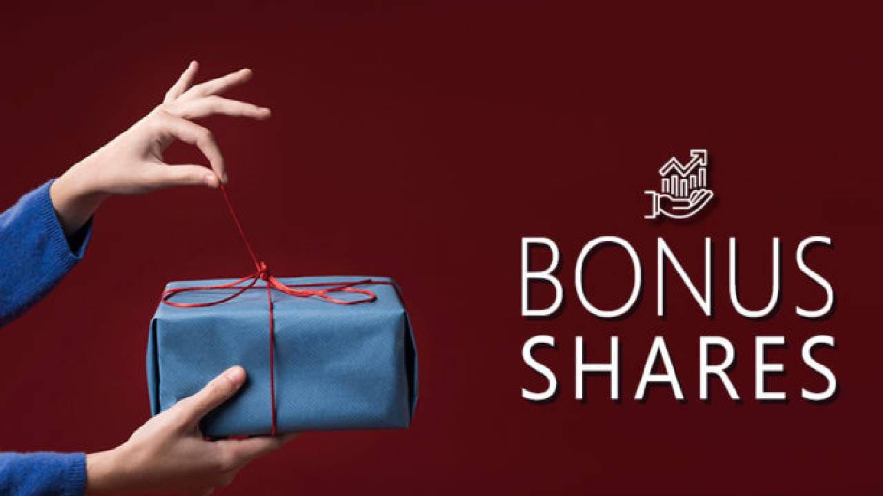 या कंपनीने 1997 पासून आतापर्यंत शेअरधारकांना  11 वेळा बोनस शेअर दिला आहे. संवर्धन मदरसन कंपनीने दोन वर्षांपूर्वी जुलै  2025 मध्ये अखेरचा बोनस शेअर दिला होता. कंपनीने तेव्हापासून आतापर्यंत  1:2 प्रमाणात बोनस शेअर दिला आहे. 