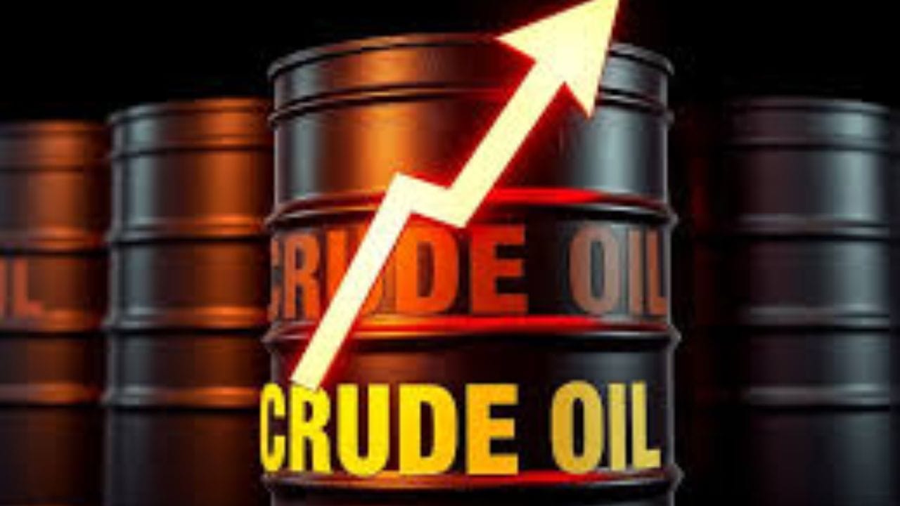 Oil Crisis : मध्य पूर्वेतील कच्चे तेल मिळणे बंद झाले, तर भारताकडे काय पर्याय ?