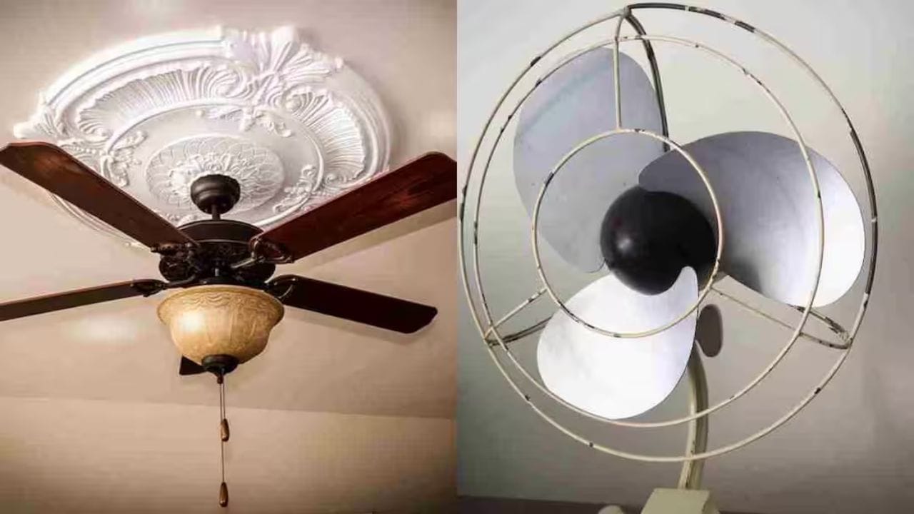 टेबल फॅनचा सर्वात मोठा फायदा म्हणजे तो तुम्हाला कुठेही, कोणत्याही ठिकाणी वापरता येतो. हे पंखे तुम्ही स्वयंपाकघर, बाल्कनी किंवा कोणत्याही खोलीत सहज हलवू शकता.