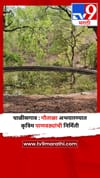 चाळीसगाव : गौताळा अभयारण्यात कृत्रिम पाणवठ्यांची निर्मिती.