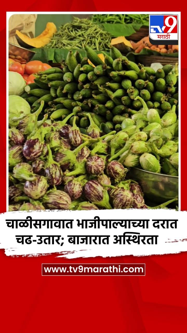 चाळीसगावात भाजीपाल्याच्या दरात चढ-उतार; बाजारात अस्थिरता