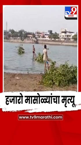 चंद्रपुरातील रामाळा तलाव आता होणार 'कुल'