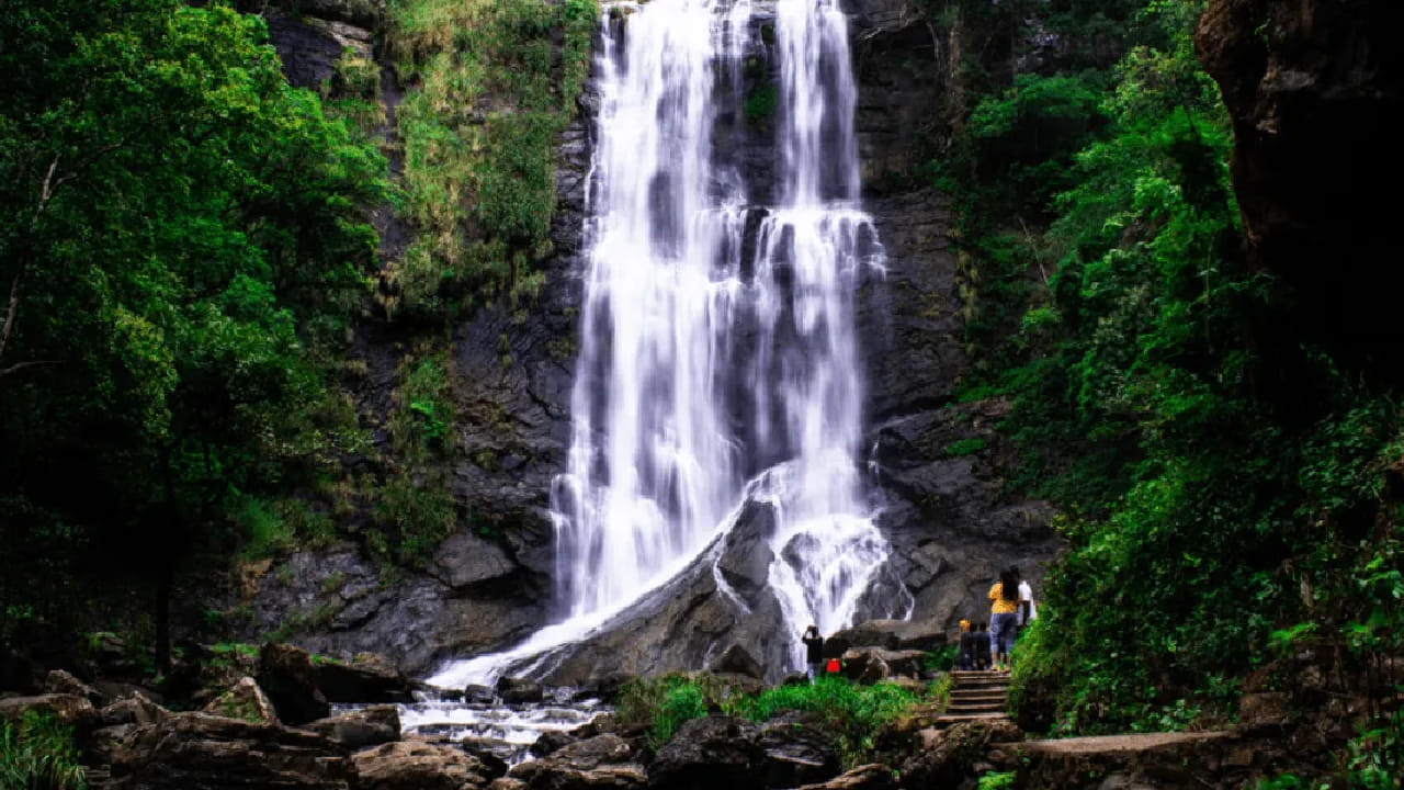 ‘भारताचे स्कॉटलंड’ म्हणून ओळखला जाणारा कूर्ग हा आपल्या कॉफीच्या मळ्यांसाठी, धुक्याने भरलेल्या दऱ्यांसाठी आणि शांत वातावरणासाठी प्रसिद्ध आहे. निसर्गप्रेमींसाठी हे एक आदर्श ठिकाण आहे.