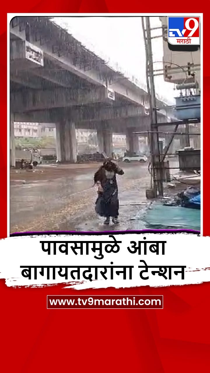 Chiplun : चिपळूणमध्ये 10 मिनिटं मुसळधार, पावसाची जोरदार बॅटिंग, आंबा बागायतदारांना टेन्शन