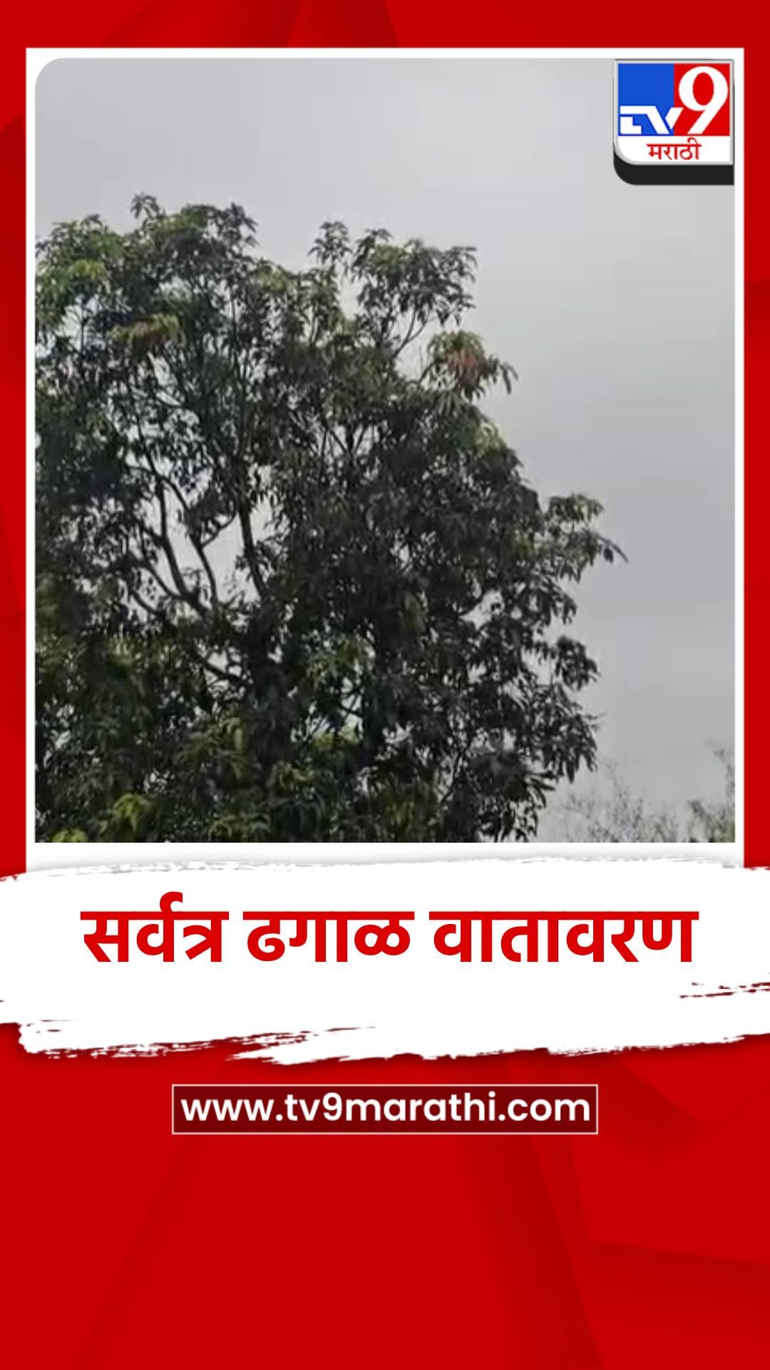 सिंधुदुर्ग जिल्ह्यात सर्वत्र ढगाळ वातावरण