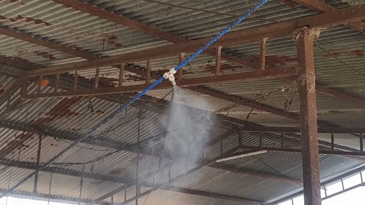 वाढत्या तापमानामुळे गोठ्यातील वातावरण अधिक गरम होत असल्याने त्यांनी गाईंसाठी विशेष उपाययोजना करण्याचा निर्णय घेतला, गोठ्यातील तापमान नियंत्रणात ठेवण्यासाठी प्रमोद पाटील यांनी सुमारे 7 हजार रुपये खर्च करून पाण्याचे 16 फॉगर (स्प्रे) बसवले आहेत. 