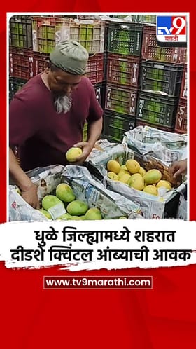 धुळे जिल्ह्यामध्ये शहरात दीडशे क्विंटल आंब्याची आवक