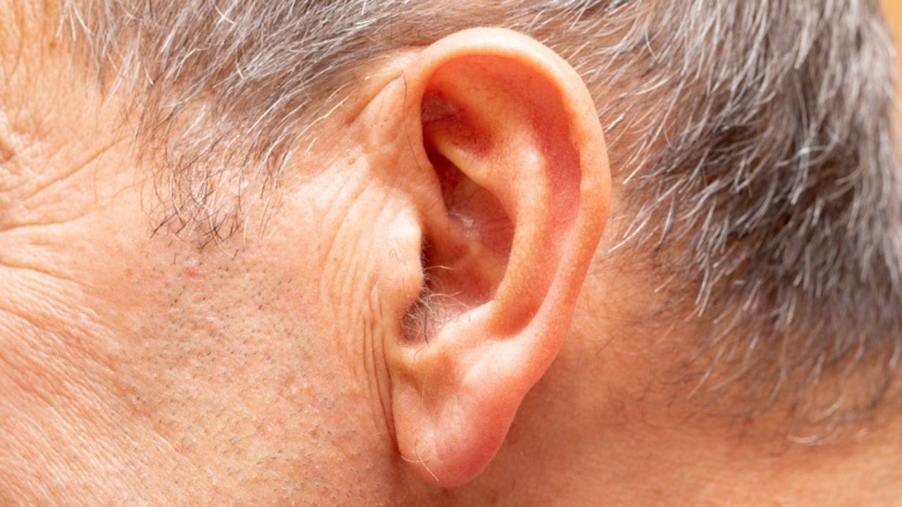 Ear-Hair-and-Samudrik-Shastra-wealth-benefits-3
