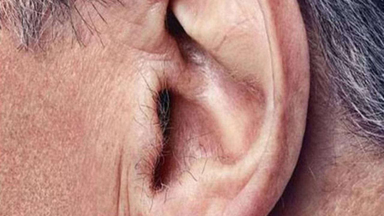 Ear-Hair-and-Samudrik-Shastra-wealth-benefits-7
