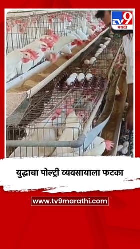 युद्धाचा पोल्ट्री व्यवसायाला फटका