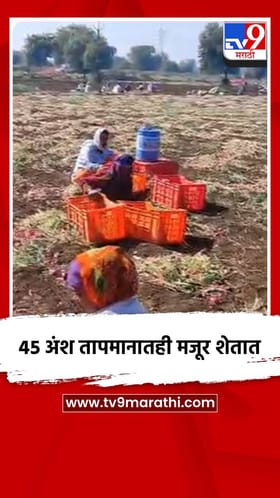 ४५ अंश तापमानातही मजूर शेतात