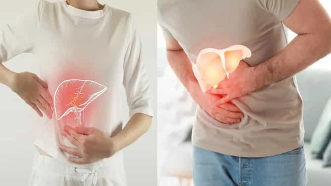 Fatty Liver : दारु न पिता लिव्हर कसा होतोय डॅमेज ? कोणत्या चुका पडताहेत भारी ?