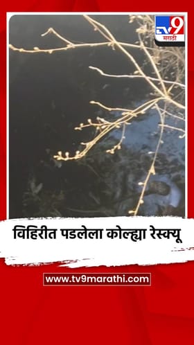 विहिरीत पडलेला कोल्ह्या रेस्क्यू