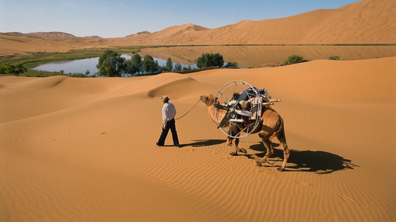 येथे वाळू कमी आहे : अनेकांना वाटते की वाळवंट म्हणजे सर्वत्र वाळूच वाळू पण गोबी वाळवंटात तुम्हाला अधिक प्रमाणात खडक डोंगर आणि कोरडी जमीन दिसेल. येथे वाळू तुलनेने कमी आहे.