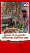 सिलेंडरटा तुटवडा... पुण्याच्या भोर तालुक्यातील ग्रामीण भागात गोबर गॅसचा वापर.