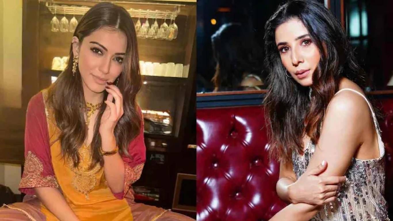 हंसिका मोटवानीने वहिनीलाच म्हटलं ‘सी-ग्रेड अभिनेत्री’; मानहानीचा खटला दाखल, नेमकं काय घडलं?