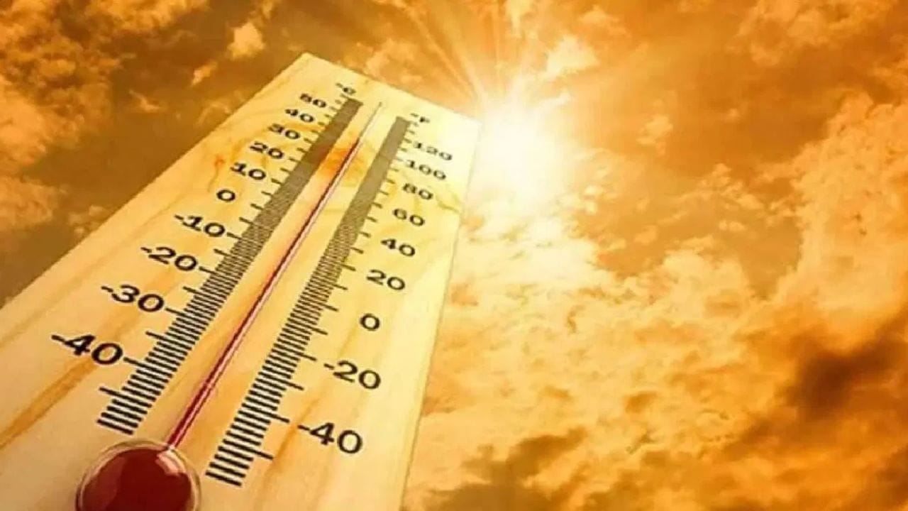 IMD Weather Update : गरज असेल तरच घराबाहेर पडा, हवामान विभागाचा महाराष्ट्राला हादरवणारा इशारा, या भागामध्ये सुट्टी जाहीर IMD Weather Update : गरज असेल तरच घराबाहेर पडा, हवामान विभागाचा महाराष्ट्राला हादरवणारा इशारा, या भागामध्ये सुट्टी जाहीर