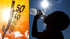 उन्हाळ्यात घराबाहेर जाण्याआधी करा हे उपाय.