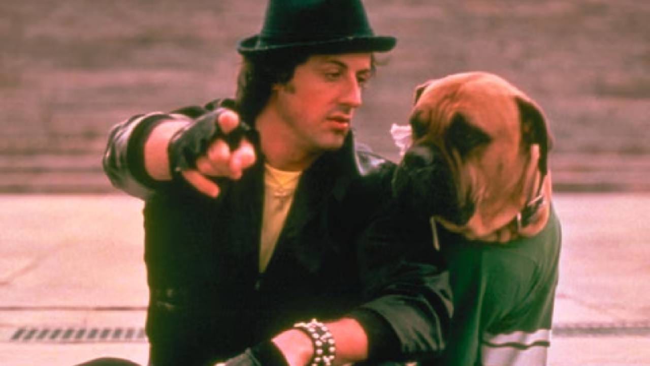 सिल्वेस्टर स्टैलोनचा संघर्ष केवळ रिजेक्शनपर्यंत मर्यादित नव्हता. लहान वयातच त्याच्या आई-वडिलांचा घटस्फोट झाला होता. अडचणी इथेच संपल्या नाहीत. आई-वडील जिवंत असूनही त्यांना काही काळ अनाथाश्रमासारख्या ठिकाणी राहावे लागले. अभिनेत्याच्या आयुष्यात आर्थिक तंगी इतकी जास्त होती की, त्यांना अनेकदा न्यूयॉर्कच्या बस स्टँडवर रात्र काढावी लागली.