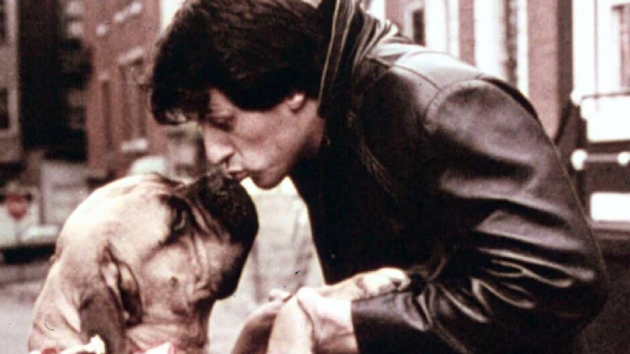 पण अट होती की, मुख्य भूमिका दुसऱ्या एखाद्या अभिनेत्याला द्यायची, जसे रॉबर्ट रेडफोर्ड किंवा बर्ट रेनॉल्ड्स. स्टैलोनने यास स्पष्ट नकार दिला. त्यांना माहिती होते की रॉकी हा त्यांचेच पात्र आहे. एक साधा माणूस जो हार मानत नाही. स्टैलोनने सर्व सोडून स्वतःवर विश्वास ठेवला आणि शेवटी कमी बजेटमध्ये त्यांना लीड रोल मिळाला. १९७६ मध्ये रिलीज झालेल्या फिल्म ‘रॉकी’ने बॉक्स ऑफिसवर २२५ मिलियन डॉलरहून अधिक कमाई केली. या फिल्मला तीन ऑस्कर मिळाले. बेस्ट पिक्चर, बेस्ट डायरेक्टर आणि बेस्ट एडिटिंग. स्टैलोनला बेस्ट अभिनेता आणि बेस्ट ओरिजिनल स्क्रीनप्ले यासाठी नामांकन मिळाले. यश मिळाल्यानंतर स्टैलोनने सर्वप्रथम आपला कुत्रा बटकसला 15000 डॉलर देऊन परत विकत घेतला. 