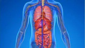 तुम्ही गरजेपेक्षा जास्त प्रोटीन घेत असल्यास शरीर देते 'हे' पाच संकेत.