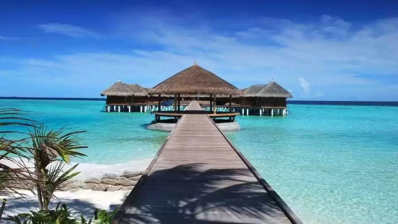 नुकताच या प्रकरणात भारतासह अन्य देशांच्या नागरिकांवर मालदीवमध्ये कारवाई झाली. भारतीय उच्चायोग आणि एनसीबीने याबाबत पाऊले उचलली आहेत. 