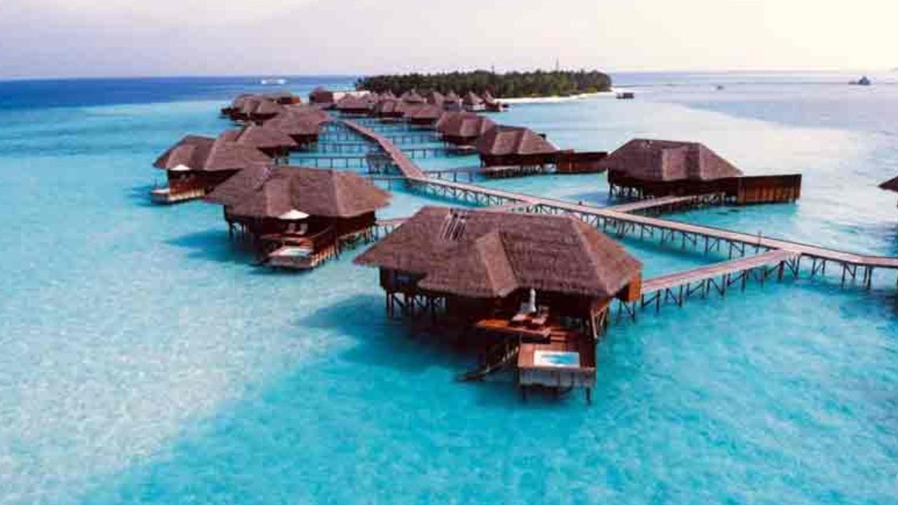 जर तुम्हाला वाटत असेल की, तुमच्याकडे थोडासा ड्रग्स असेल तर तुम्हाला काही होणार नाही. पण थांबा हा तुमचा खूप जास्त मोठा गैरसमज आहे. थोडा ड्रग्स सापडला तरीही तुमच्यावर कारवाई होईल. 