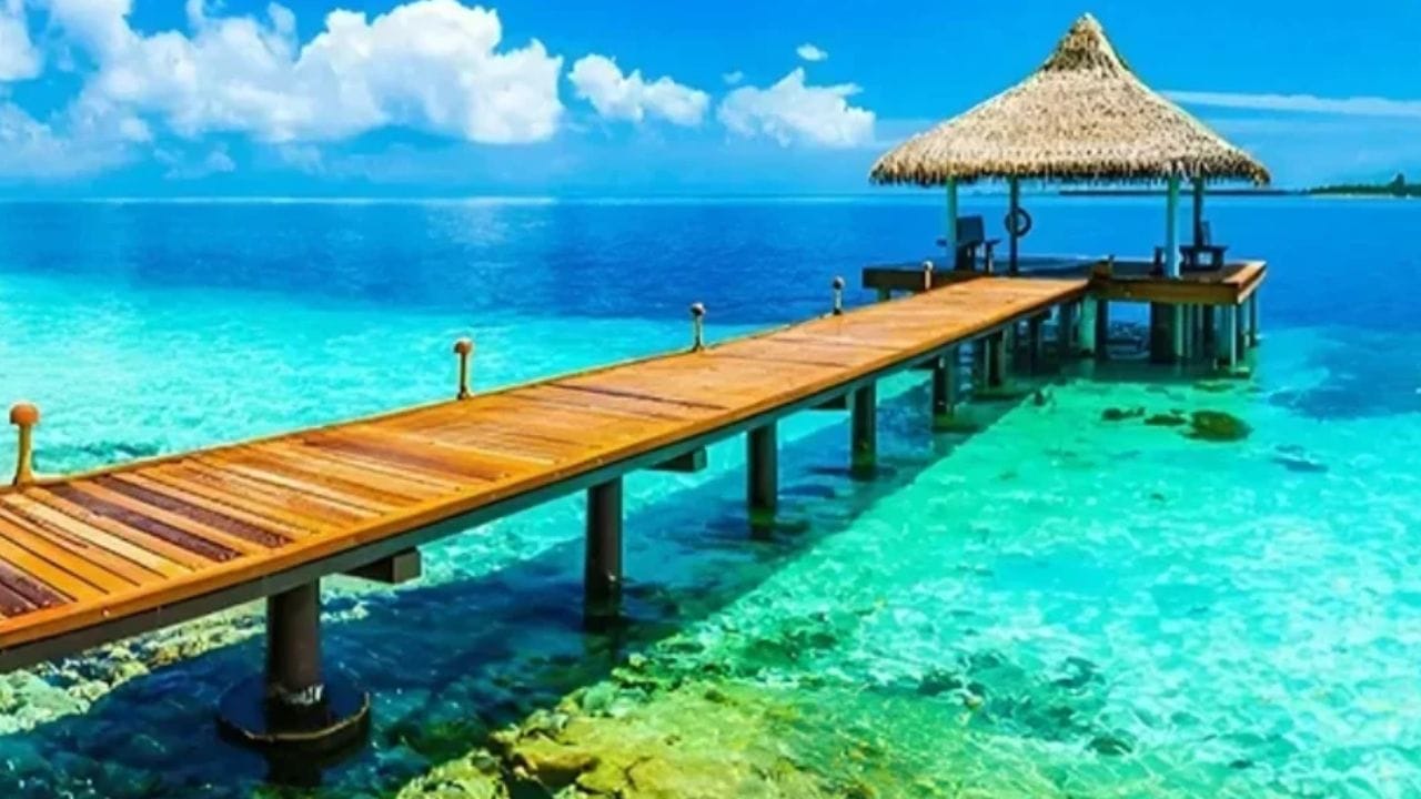  या नवीन नियमानुसार, जर तुमच्याकडे ड्रग्स सापडली तर जन्मठेप होऊ शकते. जर तुमच्याकडे मोठ्या प्रमाणात ड्रग्स सापडले तर तुम्हाला फाशीची शिक्षा होऊ शकते. 