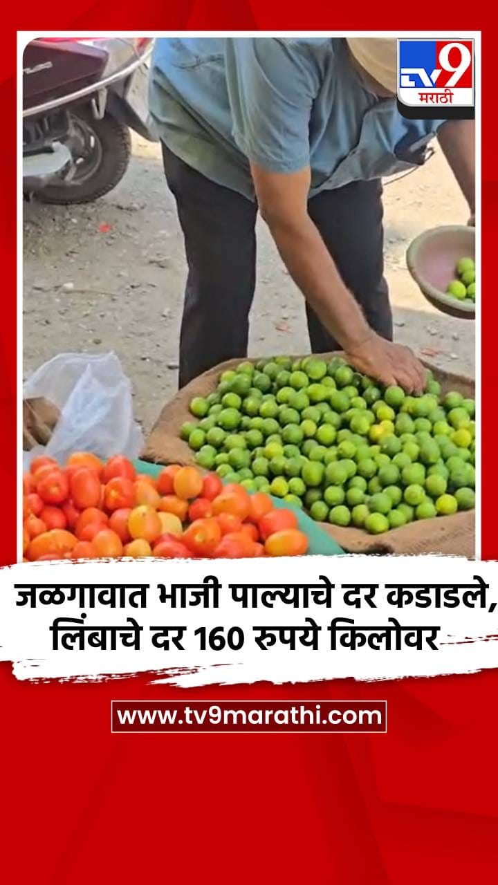 जळगावात भाजी पाल्याचे दर कडाडले, लिंबाचे दर 160 रुपये किलोवर