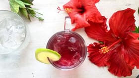 जास्वंदीचा चहा आरोग्यास लाभदायक, शरीरात हे बदल घडतात.