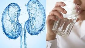 या प्रकारे पाणी पिता ? कोणती सवय किडनीला घातक? काय म्हणतात तज्ज्ञ.