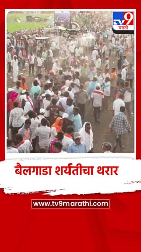 सातारा जिल्ह्यात कोरेगावात बैलगाडा शर्यतीचा थरार