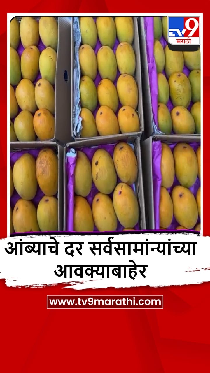 Sindhudurg : देवगड हापूस कणकवली मार्केटमध्ये दाखल, एक डझन आंब्याचा भाव किती?