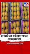 Sindhudurg : देवगड हापूस कणकवली मार्केटमध्ये दाखल, एक डझन आंब्याचा भाव किती?.