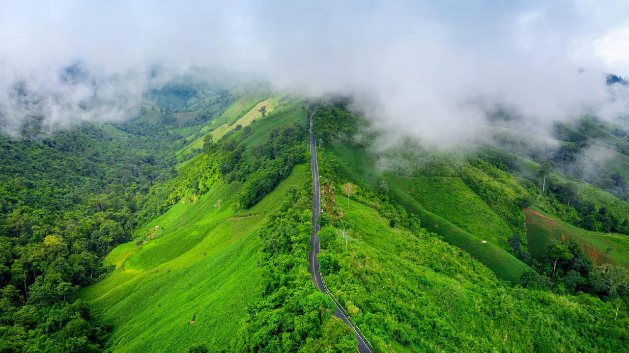 घोड्याच्या चेहऱ्यासारखा आकार असलेल्या या डोंगररांगेमुळे ‘कुद्रेमुख’ हे नाव पडलं आहे. Kudremukh National Park ट्रेकिंग आणि वन्यजीव प्रेमींसाठी एक स्वर्गच आहे.