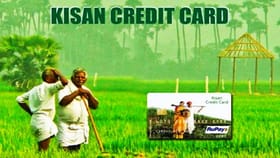 KCC कर्ज थकले तर जमिनीचा लिलाव? योजनेचे नियम आणि अधिकार जाणून घ्या.