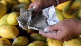 केमिकलने पिकवलेले आंबे कसे ओळखायचे ? खाण्यापूर्वी अशी करा चाचणी