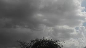 हवामानात मोठा बदल, पुढील काही तास धोक्याची, थेट...